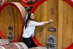 Santiago: Weltklasse-Weine, Besuch von 4 Weingütern und Tanino