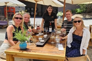 Santiago: Weltklasse-Weine, Besuch von 4 Weingütern und Tanino