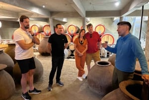 Santiago: Weltklasse-Weine, Besuch von 4 Weingütern und Tanino