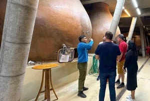 Santiago: Weltklasse-Weine, Besuch von 4 Weingütern und Tanino