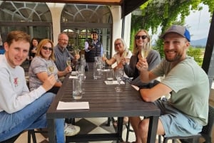 Santiago: Weltklasse-Weine, Besuch von 4 Weingütern und Tanino