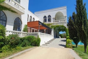 Santiago: Weltklasse-Weine, Besuch von 4 Weingütern und Tanino