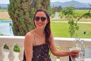 Santiago: Weltklasse-Weine, Besuch von 4 Weingütern und Tanino