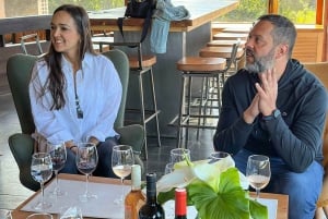 Santiago: Weltklasse-Weine, Besuch von 4 Weingütern und Tanino