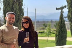 Santiago: Weltklasse-Weine, Besuch von 4 Weingütern und Tanino