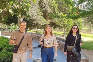 Santiago: Weltklasse-Weine, Besuch von 4 Weingütern und Tanino