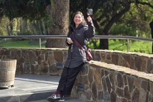 Santiago: Weltklasse-Weine, Besuch von 4 Weingütern und Tanino