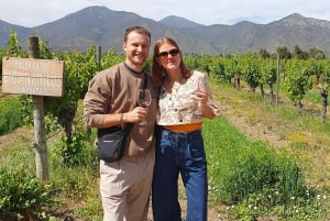 Santiago: Weltklasse-Weine, Besuch von 4 Weingütern und Tanino