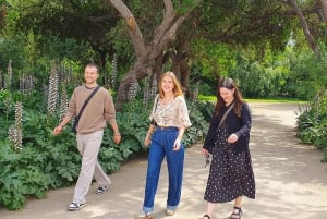 Santiago: Weltklasse-Weine, Besuch von 4 Weingütern und Tanino