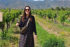 Santiago: Weltklasse-Weine, Besuch von 4 Weingütern und Tanino