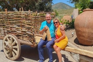 Santiago: Weltklasse-Weine, Besuch von 4 Weingütern und Tanino