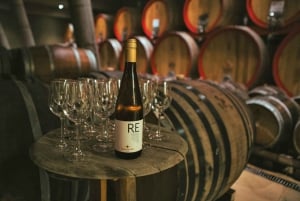 Santiago: Weltklasse-Weine, Besuch von 4 Weingütern und Tanino