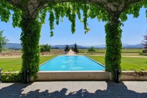 Santiago: Weltklasse-Weine, Besuch von 4 Weingütern und Tanino