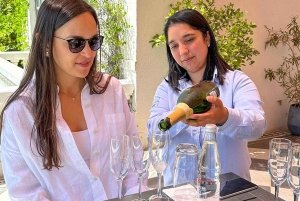 Santiago: Tanino: Maailmanluokan viinit, vierailu 4 viinitilalle ja Taninoon.