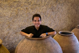 Santiago: Tanino: Maailmanluokan viinit, vierailu 4 viinitilalle ja Taninoon.