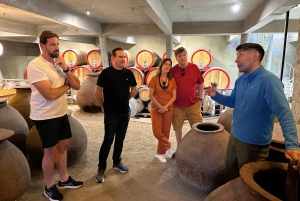 Santiago: Tanino: Maailmanluokan viinit, vierailu 4 viinitilalle ja Taninoon.