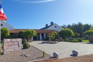 Santiago: Tanino: Maailmanluokan viinit, vierailu 4 viinitilalle ja Taninoon.