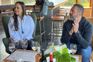 Santiago: Tanino: Maailmanluokan viinit, vierailu 4 viinitilalle ja Taninoon.