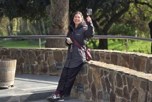 Santiago: Tanino: Maailmanluokan viinit, vierailu 4 viinitilalle ja Taninoon.