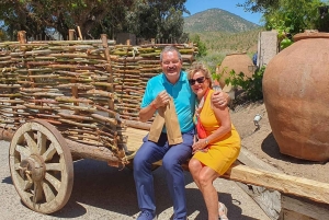 Santiago: Tanino: Maailmanluokan viinit, vierailu 4 viinitilalle ja Taninoon.