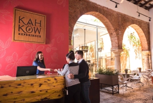 Santo Domingo: Chocolate Tour + Optional Workshops