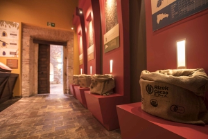 Santo Domingo: Chocolate Tour + Optional Workshops
