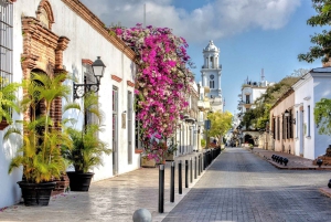 Santo Domingo: City Highlights Guided Tour with Lunch