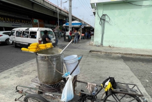 Santo Domingo: City Life Lunch & Transportation Tour