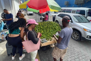 Santo Domingo: City Life Lunch & Transportation Tour