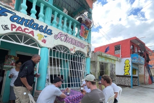 Santo Domingo: City Life Lunch & Transportation Tour