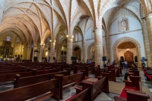 Stadsrundtur i Santo Domingo: Koloniala staden, Los Tres Ojos, lunch