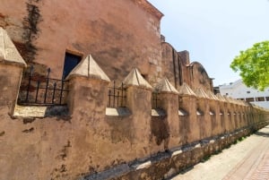 Stadsrundtur i Santo Domingo: Koloniala staden, Los Tres Ojos, lunch