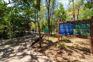 Stadsrundtur i Santo Domingo: Koloniala staden, Los Tres Ojos, lunch