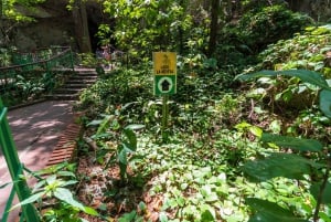 Stadsrundtur i Santo Domingo: Koloniala staden, Los Tres Ojos, lunch