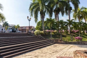 Stadsrundtur i Santo Domingo: Koloniala staden, Los Tres Ojos, lunch