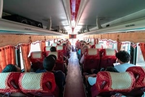 Stadsrundtur i Santo Domingo: Koloniala staden, Los Tres Ojos, lunch