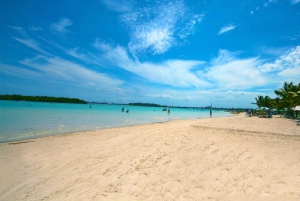 Santo Domingo: Stadstur med strandbesök och lunch