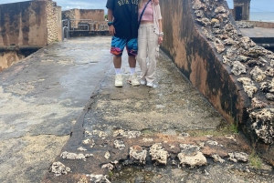 Utflukt til Santo Domingo: Oppdag hovedstaden i Den dominikanske republikk