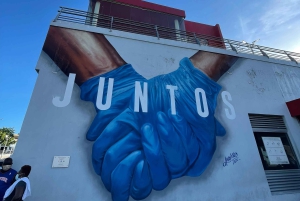 Santo Domingo: Local and Unique Immersion in Dominican Life