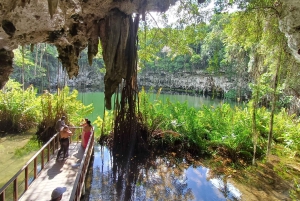 Santo Domingo: Los Tres Ojos, Boca Chica & More