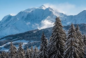 Получастная экскурсия в Шамони-Монблан из Женевы