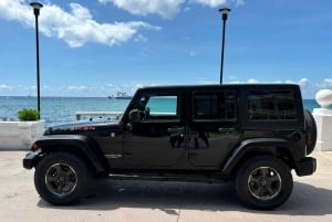 Udflugt på land: Jeep, mayaruiner, ATV og strandklub