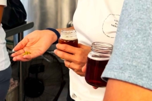 Shore Excursion: Savor Cozumel with Tacos, Beer & Mezcal