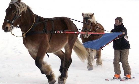 Ski Joering Mont Blanc