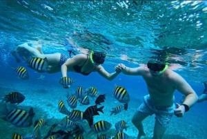 Snorkel in Cozumel and visit to El Cielo