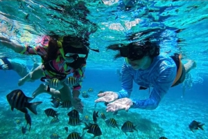 Snorkel in Cozumel and visit to El Cielo