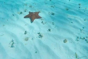 Snorkel in Cozumel and visit to El Cielo