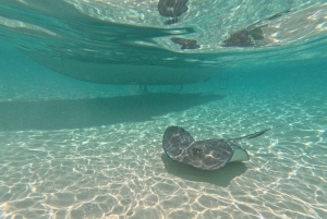 Snorkel in Cozumel and visit to El Cielo