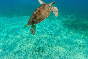 Snorkel in Cozumel and visit to El Cielo
