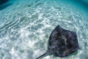 Snorkel in Cozumel and visit to El Cielo